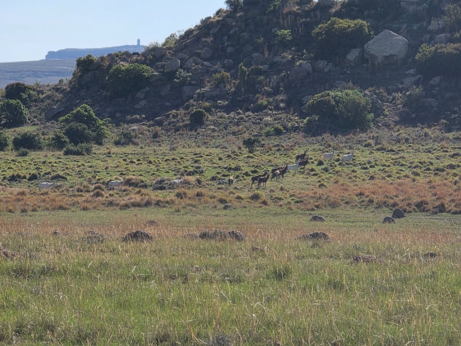 Commercial Property for Sale in Paul Roux Free State